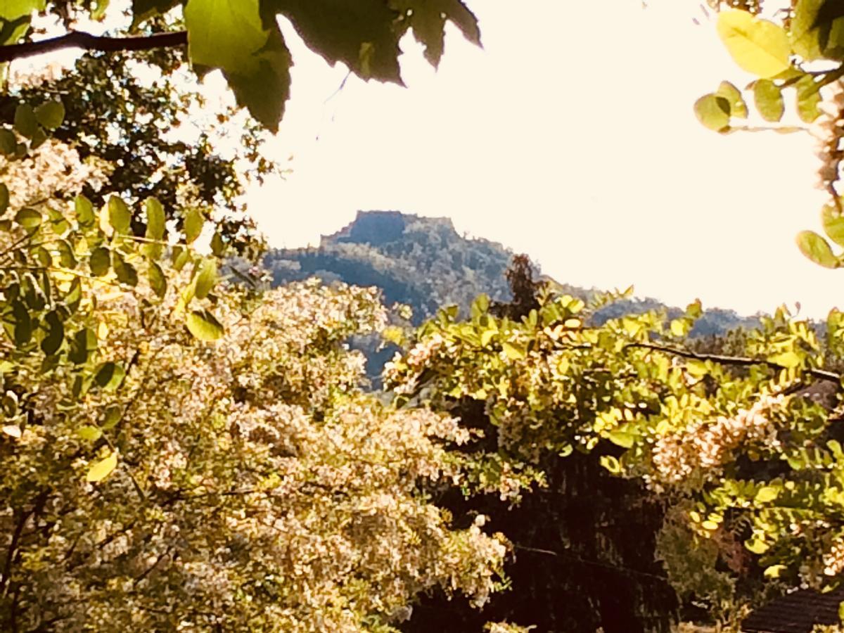 Tana Dell'Elfo B&B Gavi Buitenkant foto